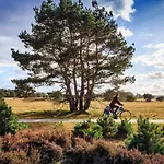 Отель Veluwe De Beyaerd Хульсхорст
