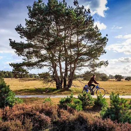 Отель Veluwe De Beyaerd Хульсхорст