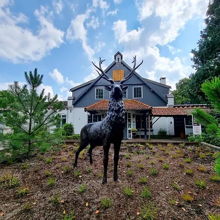 Veluwe De Beyaerd 4* Hulshorst