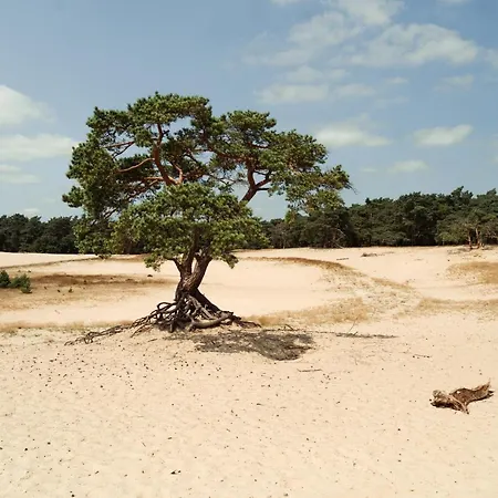 Veluwe De Beyaerd فندق 4*