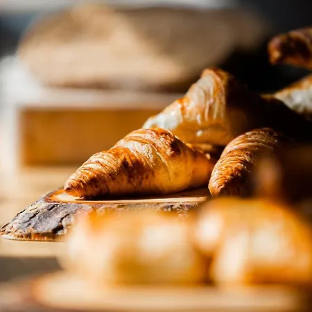 Veluwe De Beyaerd 4* Hulshorst